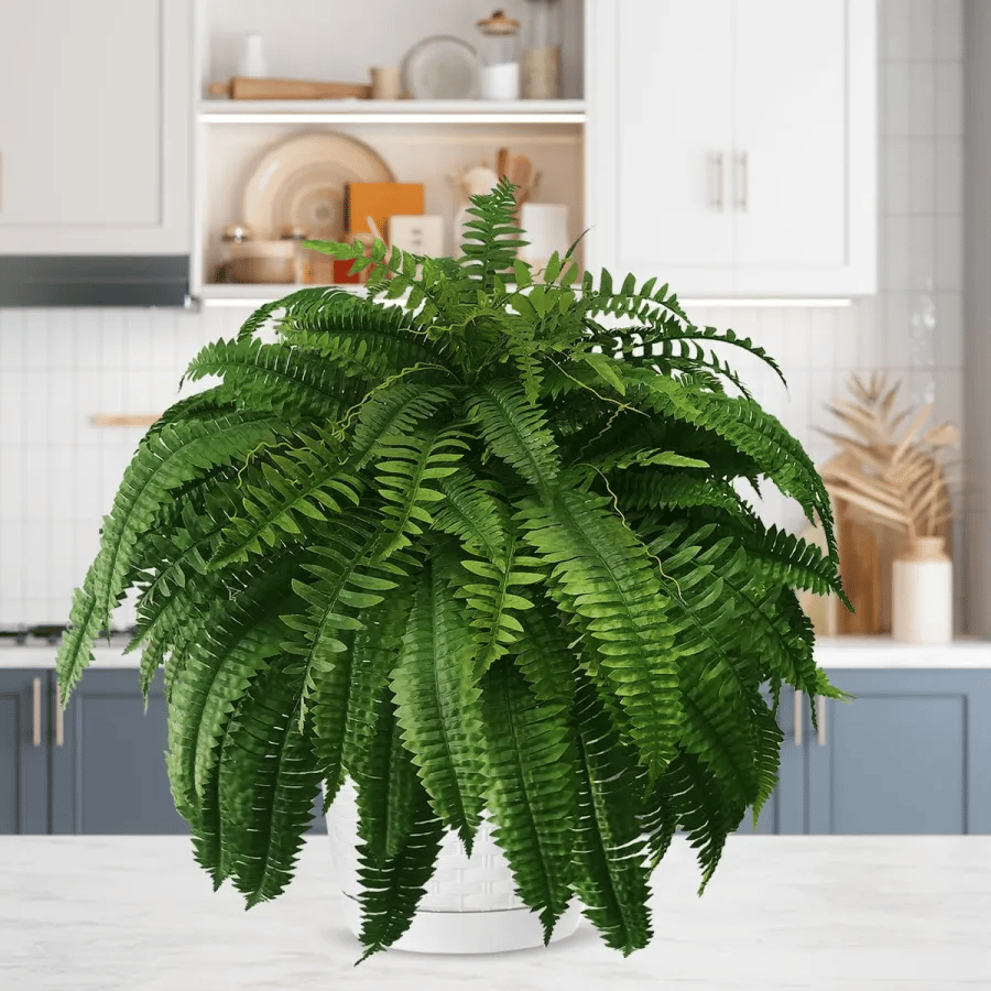 🔥2025 Spring Sale 50% OFF🌿UV Resistant Lifelike Artificial Boston Fern