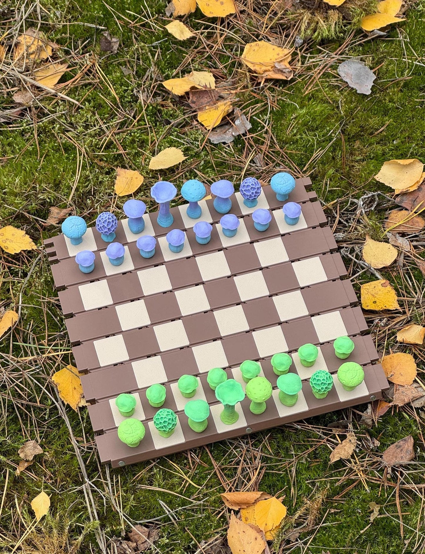 🍄 Magnetic Forest Mushroom Chess