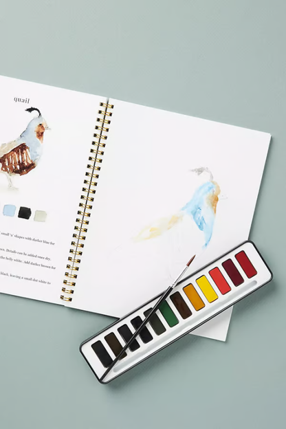 🖼️Suitable for beginners💕Watercolor painting book