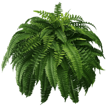 ☘️UV Resistant Lifelike Artificial Boston Fern