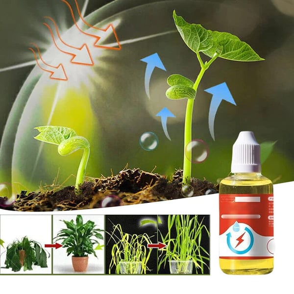 (🔥HOT SALE NOW 49% OFF) - Plant Growth Enhancer Supplement